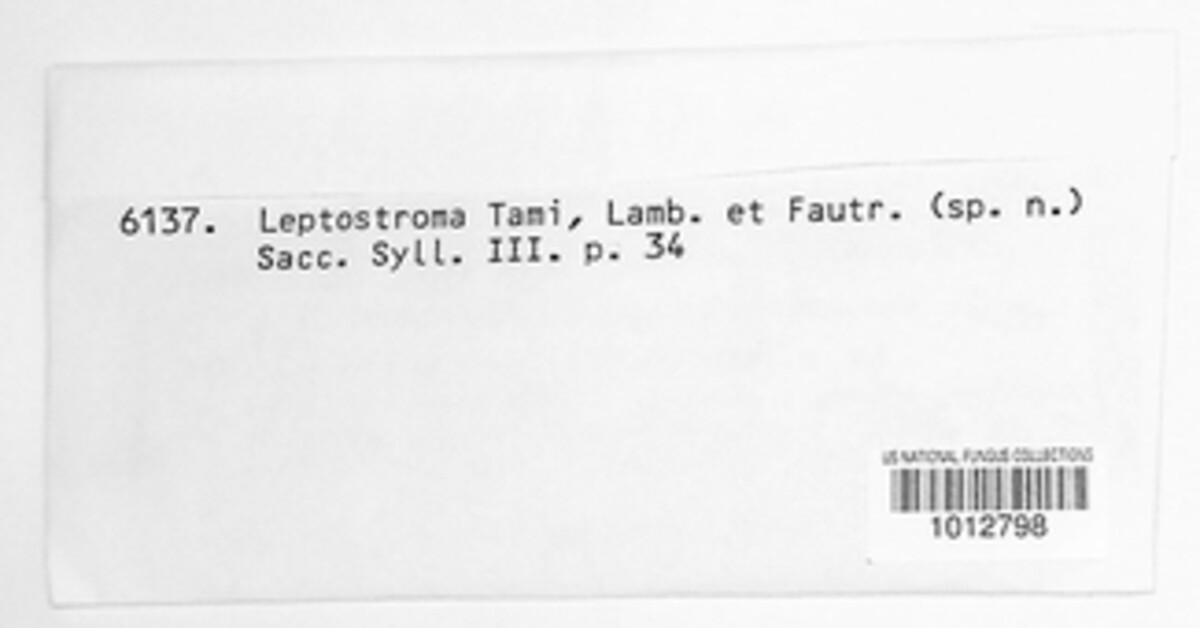 Phomopsis tami image